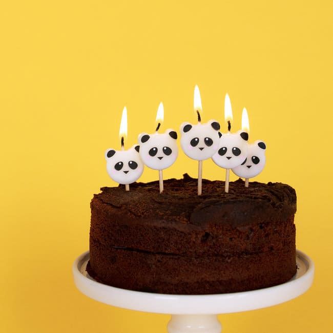 Bougies D Anniversaire Pandas X8 Modern Confetti Bougies D Anniversaire Pandas X8 Modern Confetti