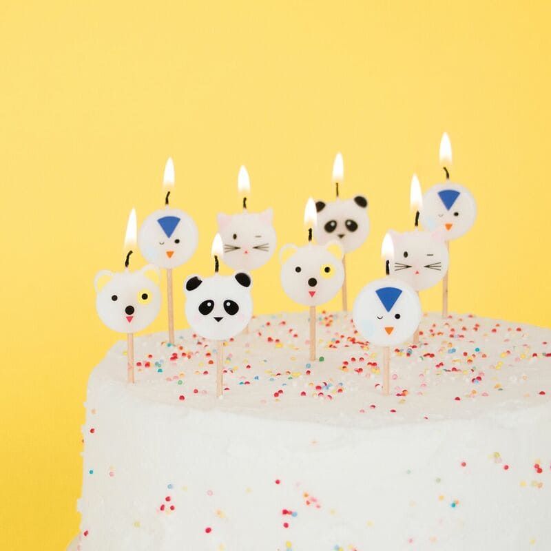 Bougies D Anniversaire Pandas X8 Modern Confetti Bougies D Anniversaire Pandas X8 Modern Confetti