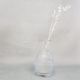 Vase ancien transparent