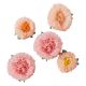 Fleurs en papier blush