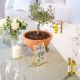 Cadre verre numero table mariage, menu mariage