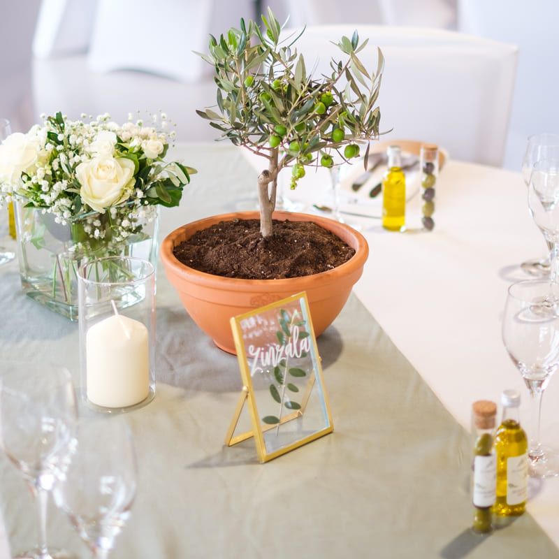 Décoration de table sur le thème Champêtre - Vert