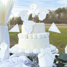 Lot de décoration pour gâteaux - gender reveal