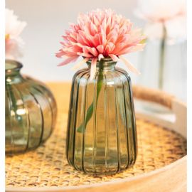 Assiettes jetables botanique Hey Baby - MODERN CONFETTI