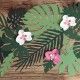 Feuilles tropicales