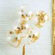 Ballons confetti or 